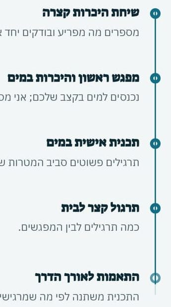 „איך זה עובד” באתר של TheraWave: חמישה שלבים, הראשון שיחת היכרות קצרה והאחרון התאמות לאורך הדרך.